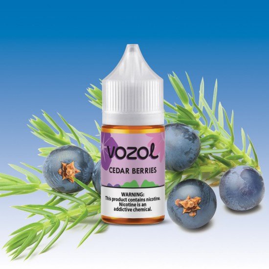 Vozol Bar Cedar Berries 30 ML Likit  en uygun fiyatlar ile ebuhar da!  Vozol Bar Cedar Berries 30 ML Likit özellikleri, fiyatı, incelemesi, yorumları ve taksit seçenekleri için hemen tıklayın!